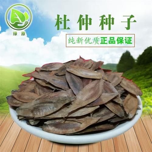 当年新采一级杜仲树种子杜仲种籽丝绵皮绵树皮种子中药材杜仲种子