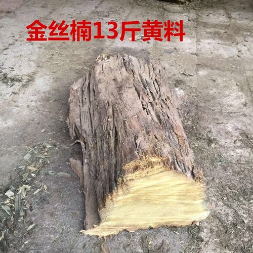 金丝楠阴沉乌木料金丝楠原料四川金丝楠原木小叶桢楠