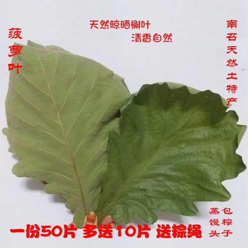 菠萝叶 干粽叶 玻璃叶饼天然柞树叶包粽子新鲜晾晒大槲叶两件包邮