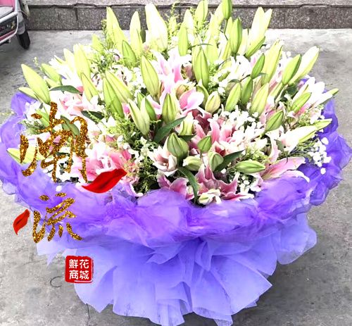 郑州鲜花店速递199朵265朵520朵香水百合鲜花束同城送花上门