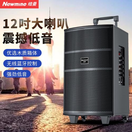 纽曼l58三分频12/15寸广场舞音响户外音箱k歌演出室外唱歌便携式