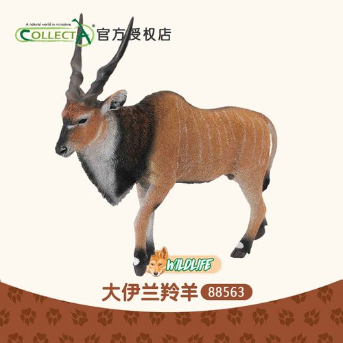 正品英国collecta我你他 大伊兰羚羊 仿真动物模型玩具摆件88563
