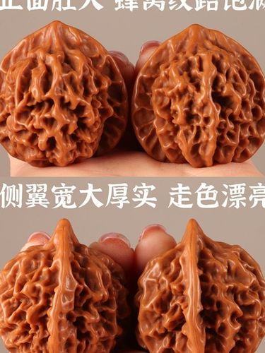 文玩核桃野生高抛帝王狮子头老树麻核桃手把件随身盘玩核桃文玩