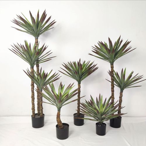 仿真绿植龙舌兰凤尾兰仿真树元宝兰植物室内家居装饰大型盆景摆件