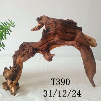 珊瑚木鱼缸造景木头精品莫斯水沉木水族装饰大型天然枯木树根摆件 t