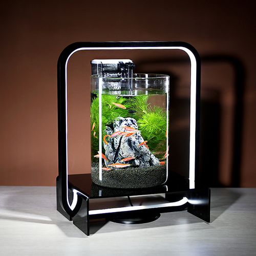 铂菲斯创意鱼缸客厅小型办公桌面生态水草造景套餐家用玻璃小鱼缸