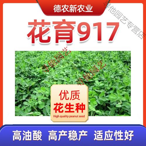 花育917精选发芽率高新货新品种大好高品质花生种子抗逆抗旱红皮 5斤
