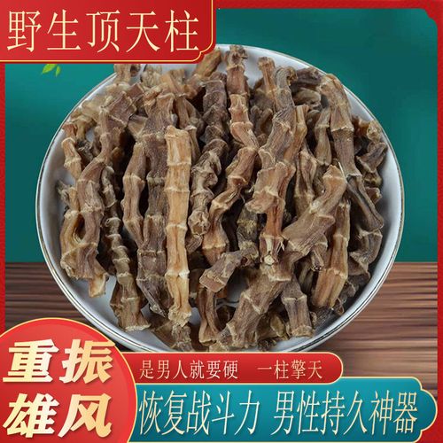 【回春草】顶天柱不老草硬的快云南野生持久泡茶泡酒料配起阳地参