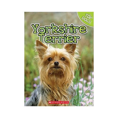 【预订】yorkshire terrier 9780531232477