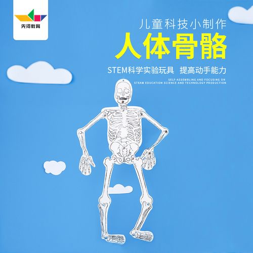 幼儿手工益智玩教具科学实验器材制作人体骨骼模型拼装万圣节骷髅
