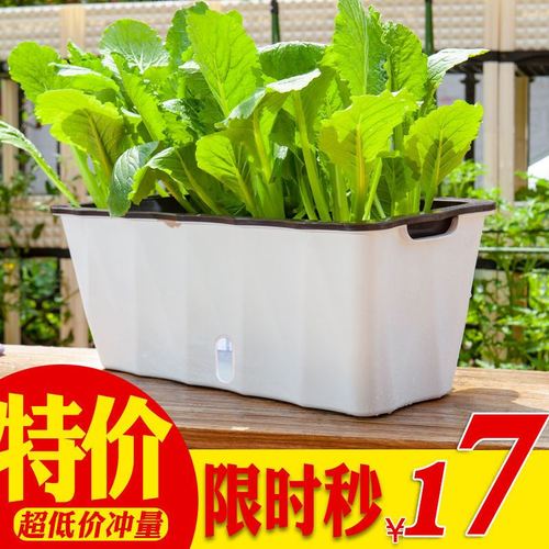 懒人种菜花盆种菜神器自吸水花盆特大花槽阳台盆栽塑料树脂绿萝盆