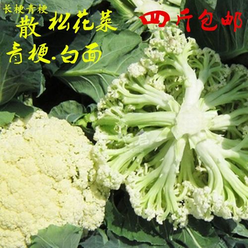 长梗松花菜新鲜蔬菜农家粪肥种植青梗散菜花现自种散花菜 4-5斤精选装
