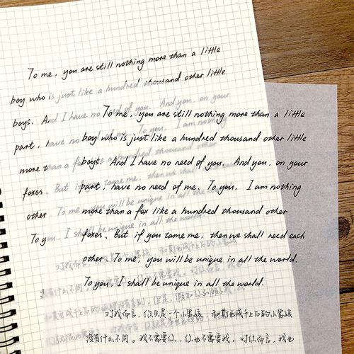 英语字帖花体圆体英文字帖字母书法高中生初中生成人