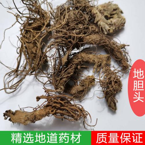 地胆头野生地胆草根白花地斩头地胆头野生草药地胆头