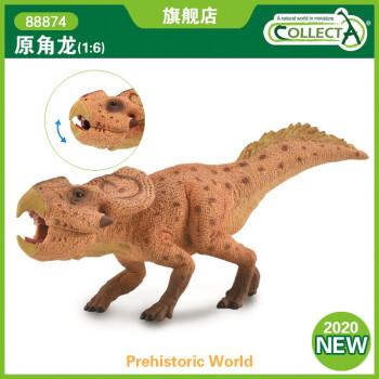 英国collecta我你他史前侏罗纪恐龙模型玩具88874原角龙2020新款 1:6