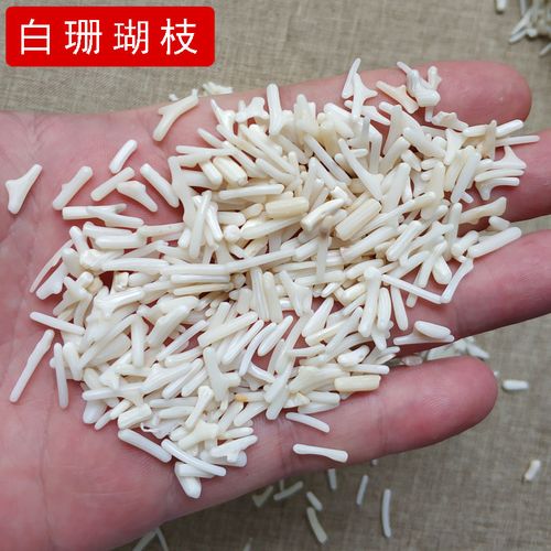 天然白珊瑚枝碎石小颗粒供佛装藏供曼扎宝石鱼缸花盆造景装饰底石