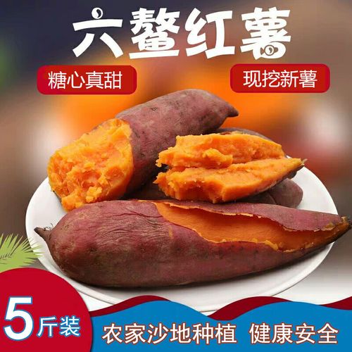 福建漳州六鳌蜜薯新鲜现挖红薯红心番薯西瓜红软糯香甜2/5/10斤