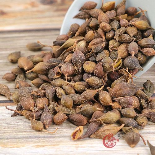 野生连翘中药材中药无硫新货干净青翘连壳可搭配茶泡水 连翘【100克】