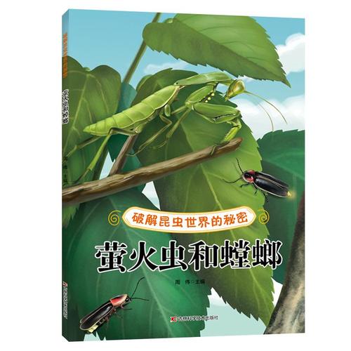 世界的秘密——萤火虫和螳螂 少儿儿童学生科学普及科普基础知识图书