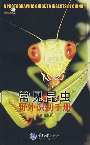 全新正版 常见昆虫(野外识别手册)  昆虫图片和文字简介 野外的昆虫