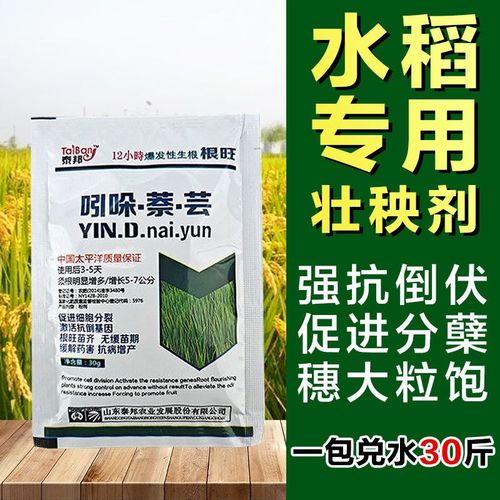 促分蘖僵苗黄叶水稻生根壮苗叶面肥增产抗倒伏抗病水稻育苗壮秧剂