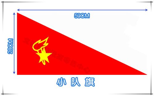 少先队小队旗  活动 晚会 运动会 表演 队徽