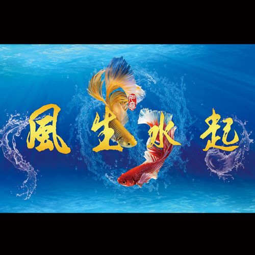 高清鱼缸贴纸如鱼得水风生水起背景定制