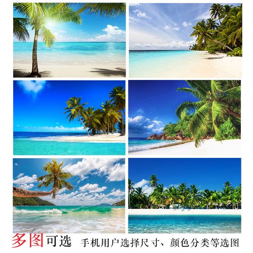 三亚海南自然山水大海风景画挂画海报沙滩椰树图卧室
