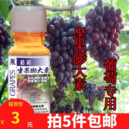 葡萄坐果膨大素膨大剂夏黑膨大技术巨峰葡萄植物生长调葡萄膨大剂