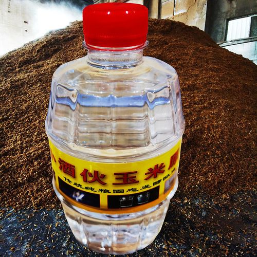 东北小烧纯粮食原浆酒散装玉米酒50度清香型白酒瓶装试饮装自酿酒