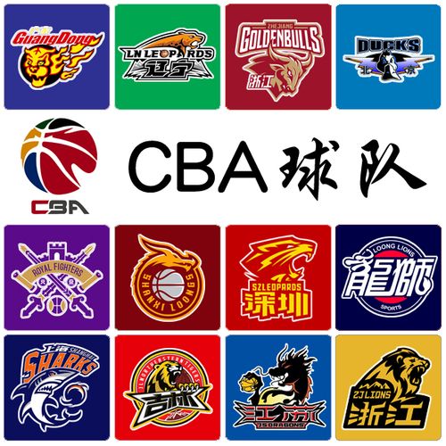 cba篮球 球队logo 队徽印刷 球衣diy 队标烫印队服 印胸标