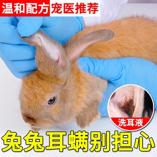 【专攻兔兔耳螨】兔子耳螨药兔用洗耳液除螨结痂发黑耳道清洁消炎