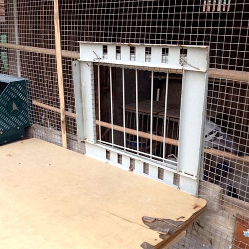 活上专用笼具门鸽信鸽跳门门门撞鸽配件赛棚洛放飞活动鸽子门