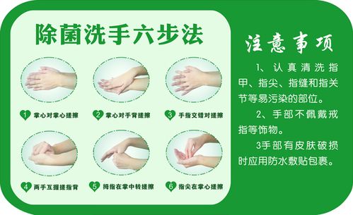 除菌洗手六步法 挂图|五六七步洗手方法|医院宣传挂图