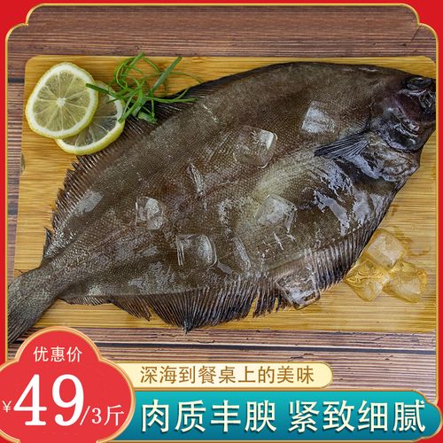 冻灰鲽鱼深海灰鲽鱼多宝鱼碟鱼头比目鱼阴阳面鱼新鲜整条包邮