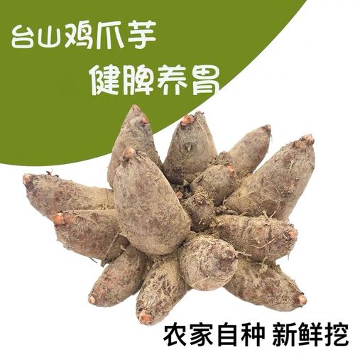 台山新鲜鸡爪芋鞋板芋南星芋暖胃散结健脾产地发货包邮5斤装