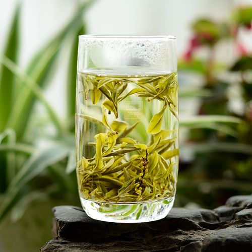 【售罄】徽云茶行2021珠兰芽峰50g 珠兰花茶特级珠兰茶浓香兰花茶