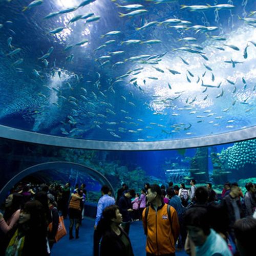 珠海长隆海洋王国-1日门票 珠海长隆海洋王国门票成人家庭票 一日票
