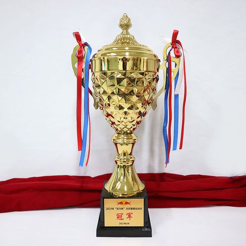 6028定制金属奖杯创意奖杯学生足球篮球羽毛球乒乓球