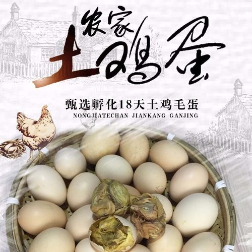 毛鸡蛋批发毛蛋旺鸡蛋非活珠子钢化蛋喜蛋全毛鸡蛋新鲜生的