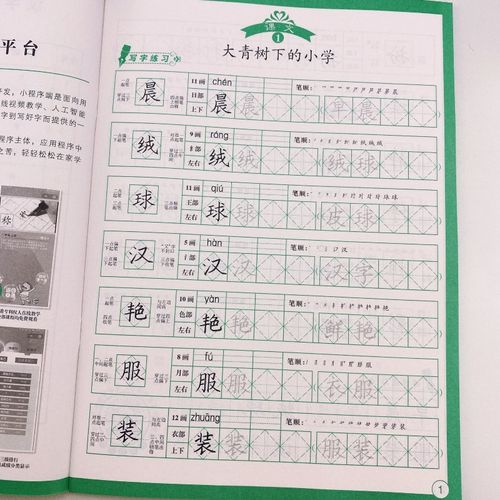 三年级上册菱形十字格字帖人教版语文书同步专项训练小学生一日一练