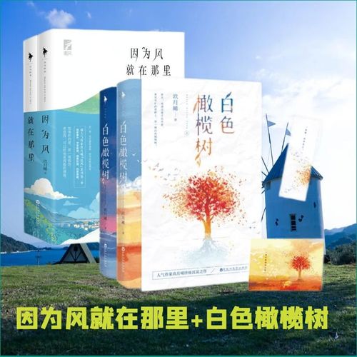 因为风就在那里(全2册) 白色橄榄树(全二册) 玖月晞追风系列第二季他