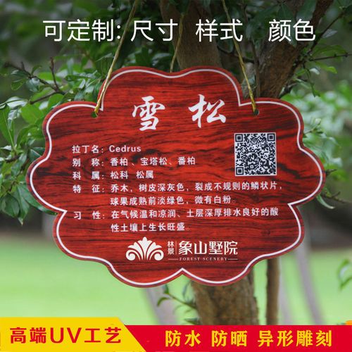 定制花草树木牌pvc雪弗板挂树牌植物绿化标识树木介绍木广告牌