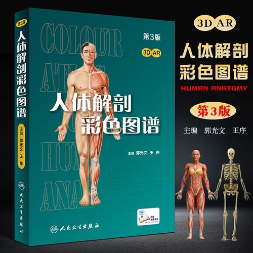 正版人体解剖彩色图谱 第三版 全彩人卫奈特系统解剖学局部解剖学内脏