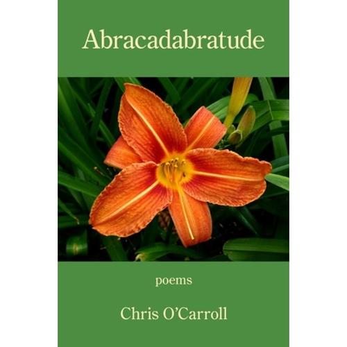 预订 abracadabratude