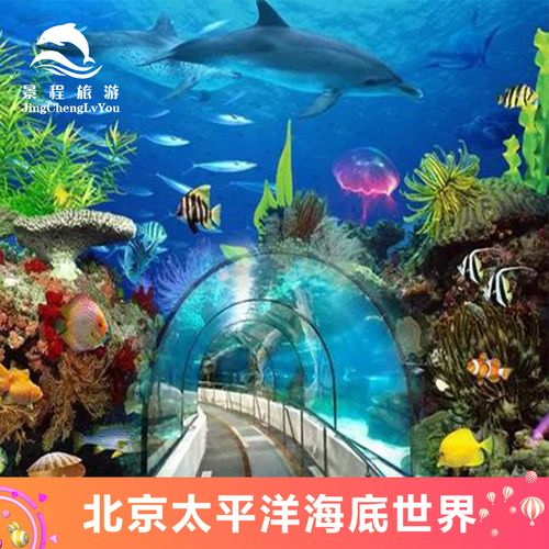 [太平洋海底世界博览馆-大门票]北京 太平洋海底世界博览馆 门票