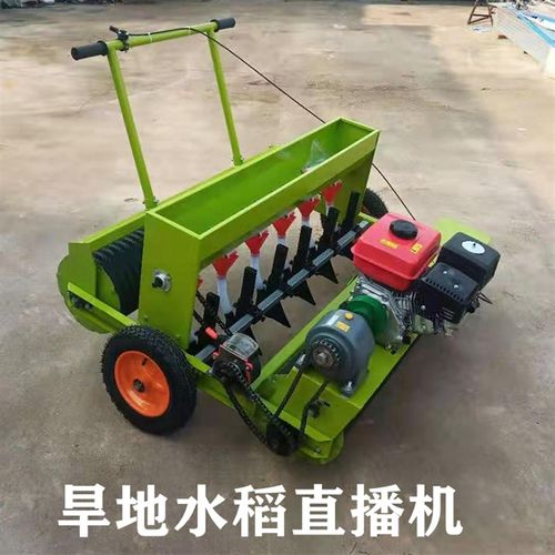 新间水稻播种机 旱地水稻直播机 小型水稻精种机s 家庭式旱稻种植