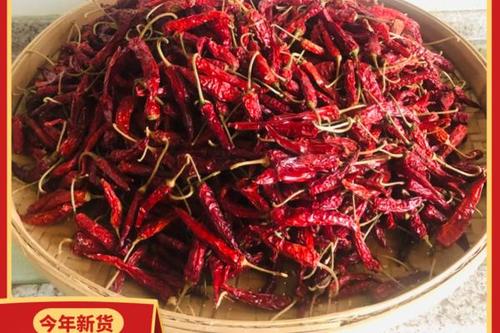 0/斤 龙脊干辣椒 桂林特产 龙脊辣椒 龙胜高山红辣椒产地批发