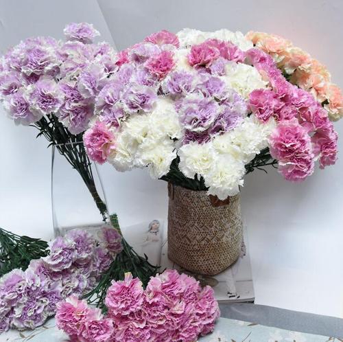 小清新仿真花康乃馨花束 餐桌假花插花装饰花客厅摆设