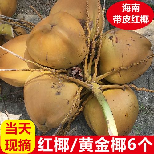新鲜现摘海南文昌红椰黄金椰带皮嫩椰青椰子孕妇水果非去皮老椰子